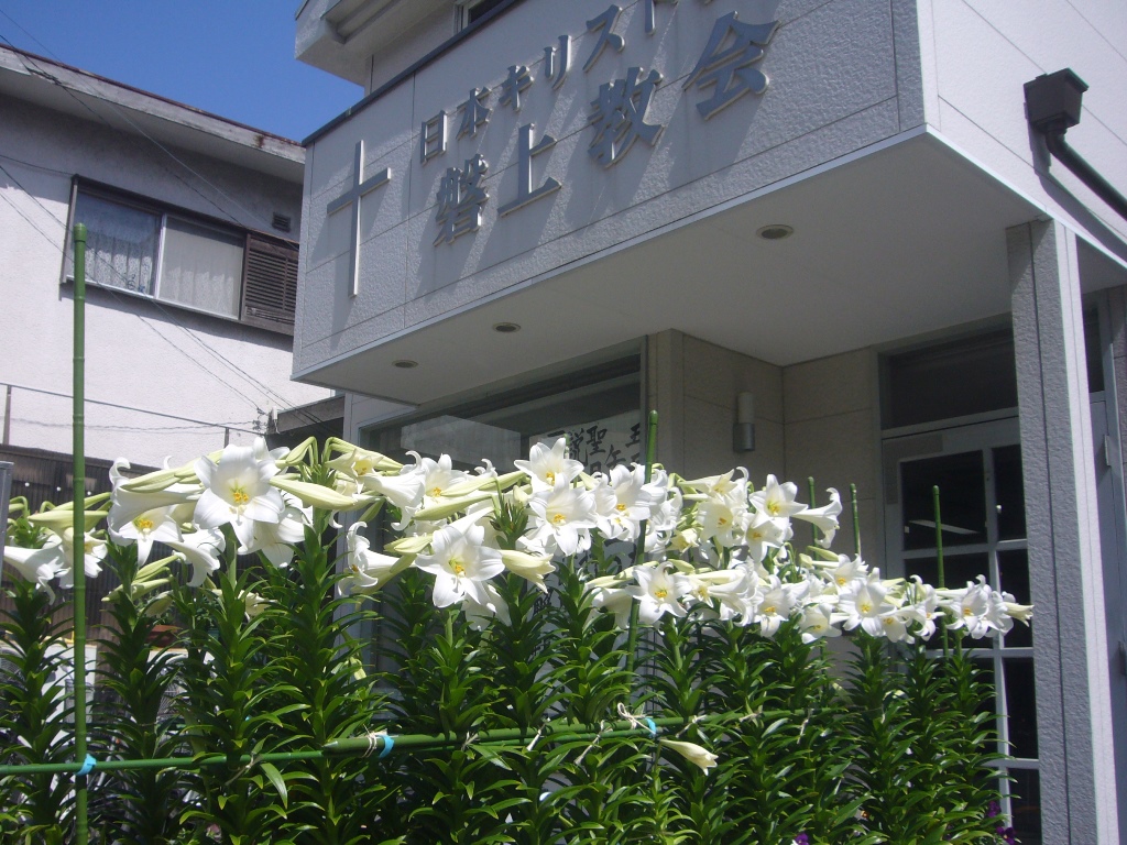 �֏㋳��̓����Ƀ����̉Ԃ��炫�܂����B